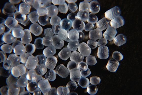 पारदर्शी पारभासी TPE Granules सुपर सॉफ्ट TPE गोली SEBS थर्माप्लास्टिक इलास्टोमेर